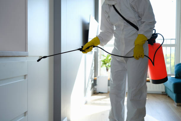 Best Home Mold Removal  in Fairmont City, IL